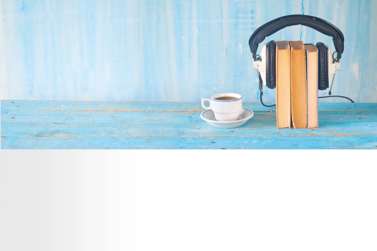 Digital Media Outreach